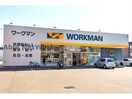 ワークマン札幌北野東北通店(ショッピングセンター/アウトレットモール)まで321m ノルド・フューメ