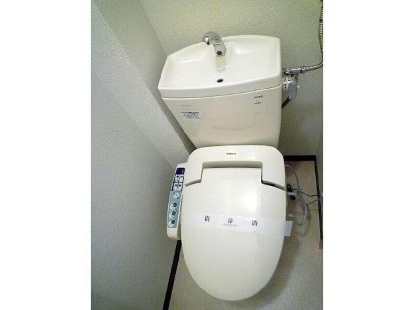  グラマラス