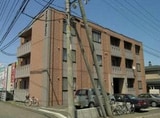 Stella maris