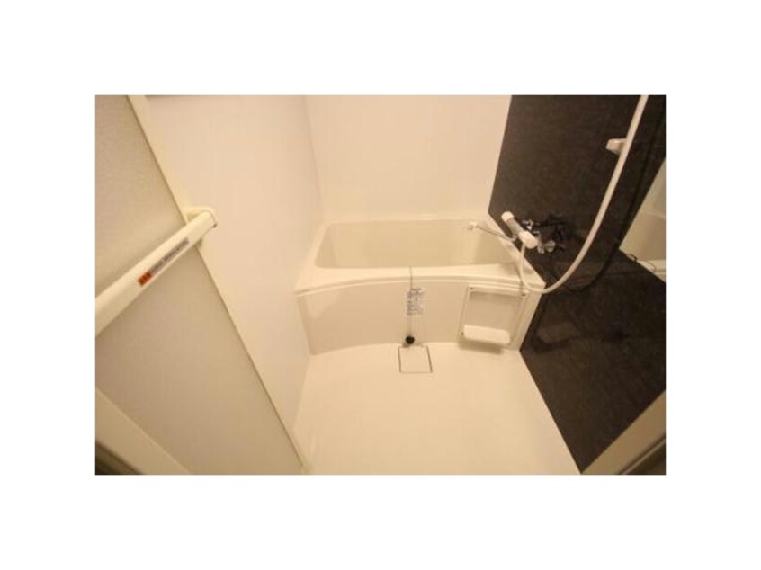  Ｅｎｃｈａｎｔｅ　ＳＨＩＲＯＩＳＨＩ