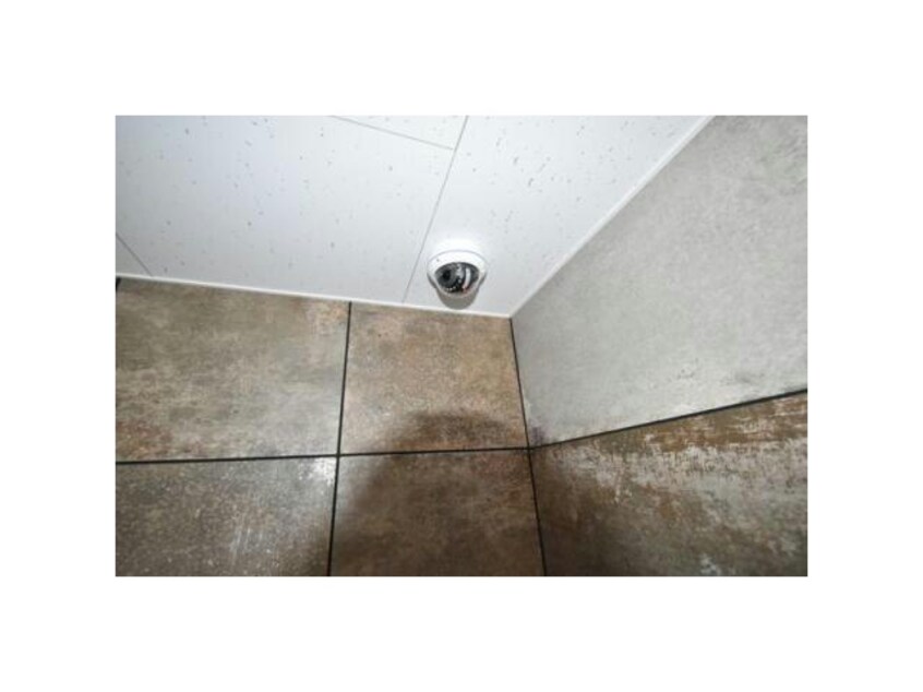  セフィーロ新札幌