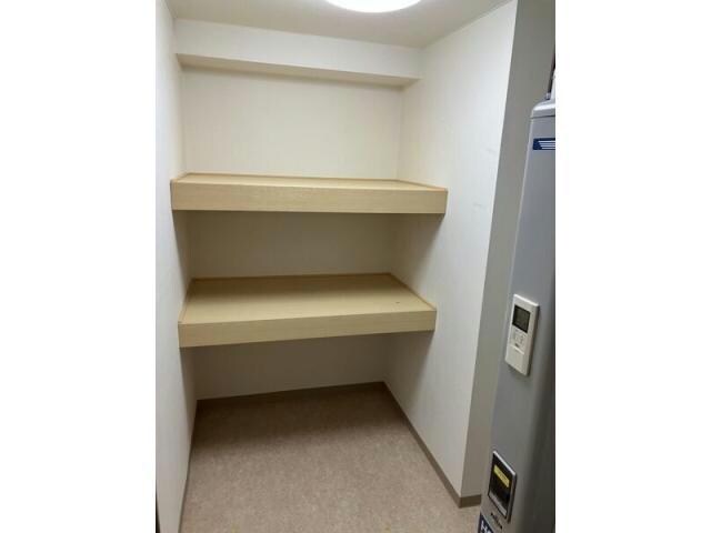  エクセランノール