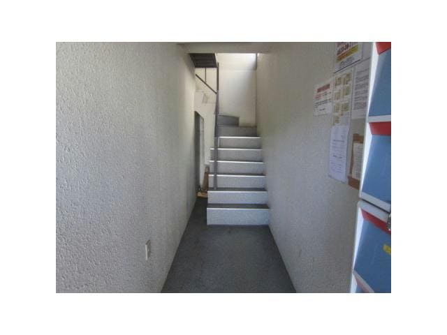  ノースキャピタル2