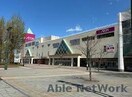 イオン札幌手稲駅前店(スーパー)まで1090m ハイツ武田