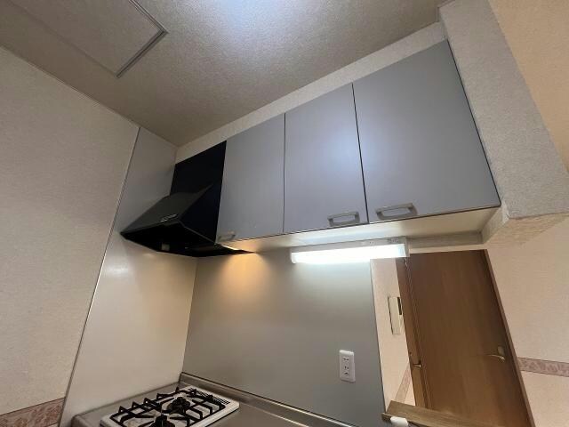  ペパーミント