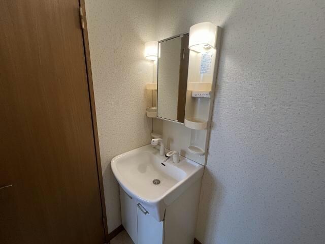  ペパーミント