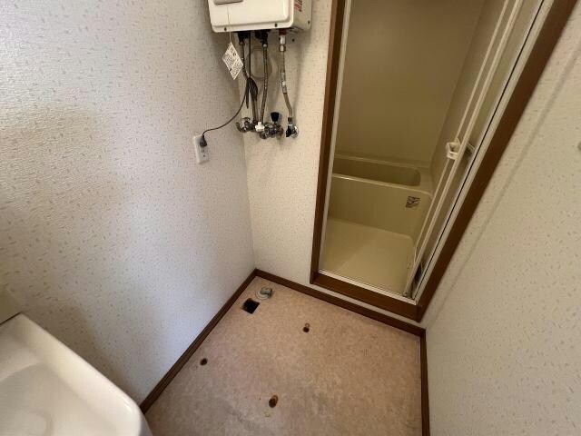  ペパーミント