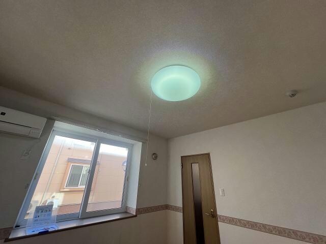  ペパーミント