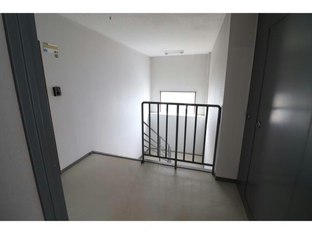  ニーズビルシマ