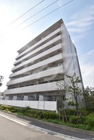  サウスアルカディア