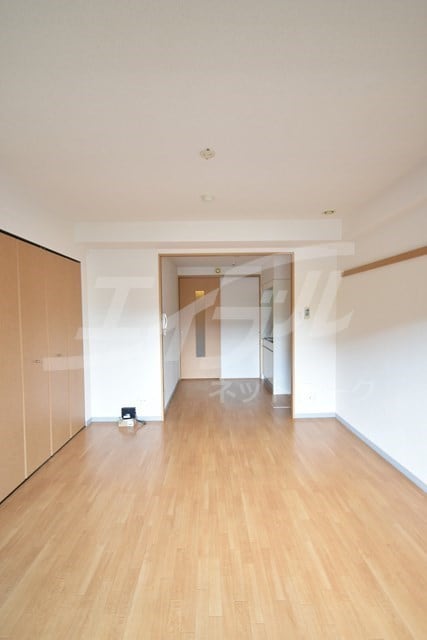  サウスアルカディア