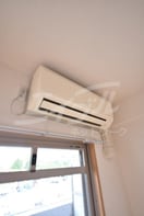  サウスアルカディア