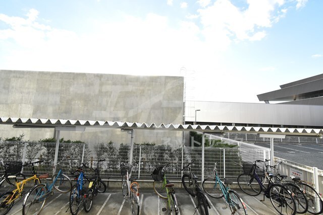  サウスアルカディア