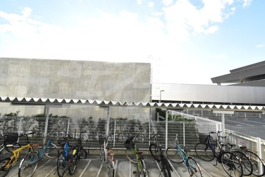  サウスアルカディア