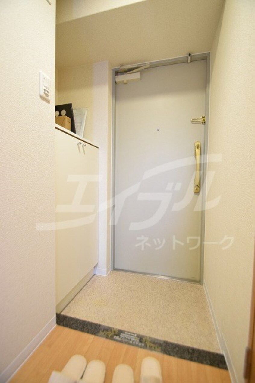  サウスアルカディア