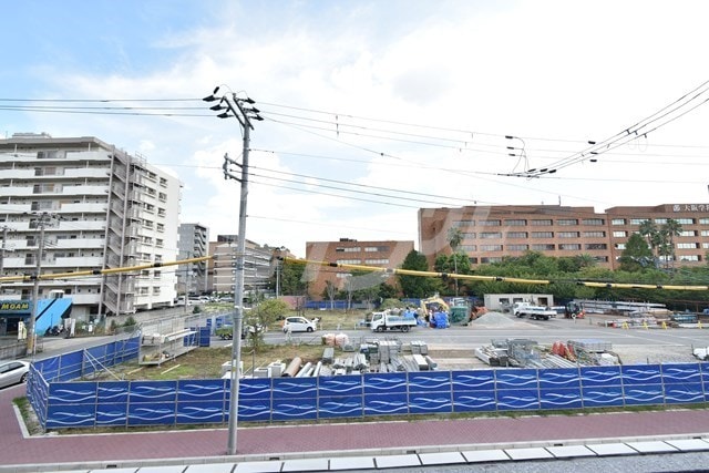  サウスアルカディア