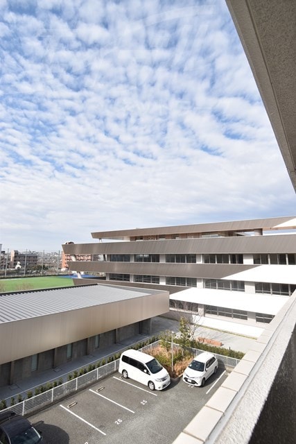  サウスアルカディア