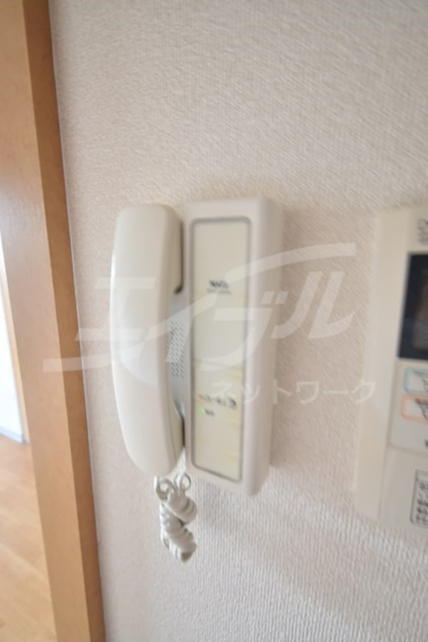  サウスアルカディア