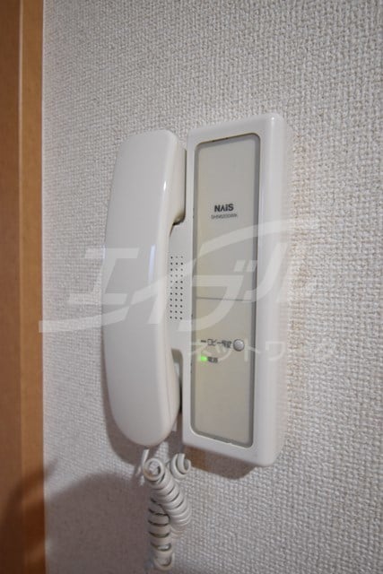  サウスアルカディア