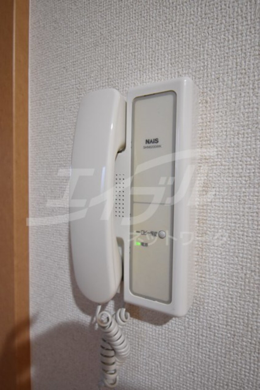  サウスアルカディア