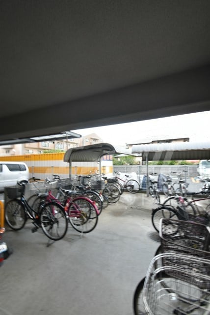  ヴェルドミール