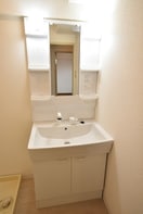  ヴェルドミール