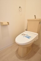  ヴェルドミール