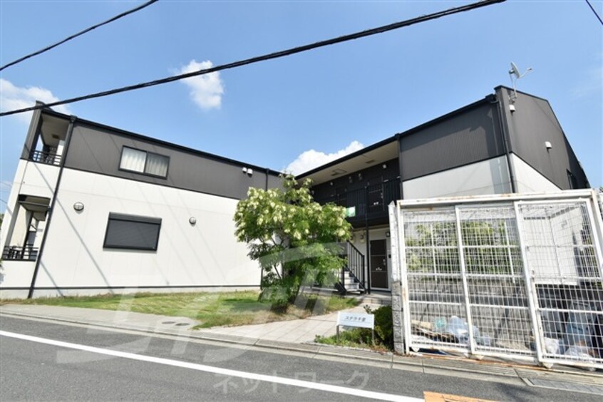  ステラ千里