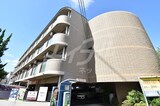 コージーコートYODOI-2