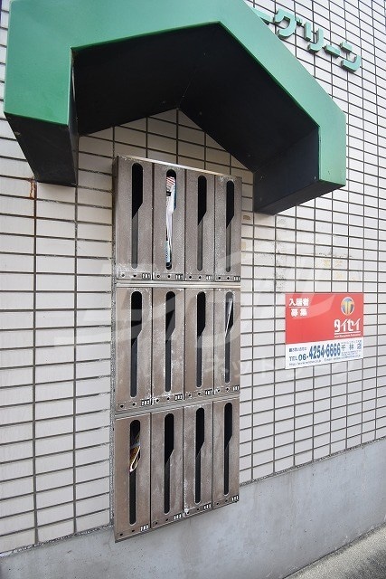  ゾーンエバーグリーン