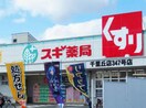 スギ薬局千里丘店(ドラッグストア)まで669m※スギ薬局千里丘店 東海道本線<琵琶湖線・JR京都線>/千里丘駅 徒歩11分 4階 築46年