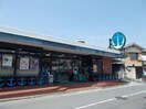 いかりスーパーマーケット王子店(スーパー)まで284m※いかりスーパーマーケット王子店 エステート山田