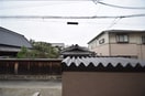  プルメリア江坂