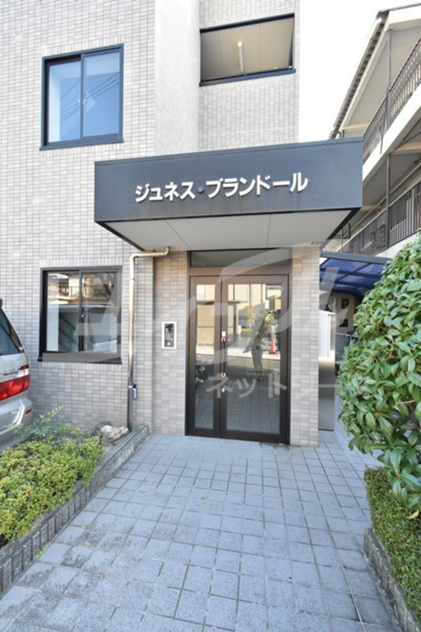  ジュネス・ブランドール
