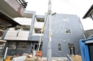Shannonの外観