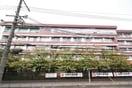  相川フラワーコート
