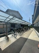  ディオーネ・ジエータ岸部