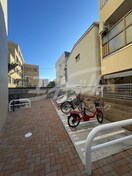  ラウロ相川リーヴァ