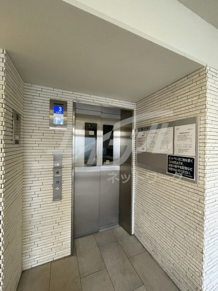  ラウロ相川リーヴァ