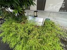 ベル・ドミール大桐の外観