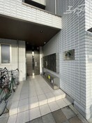  ティースリーカーサモジュカ