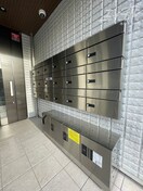  ティースリーカーサモジュカ