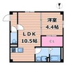 MIMOSA 1LDKの間取り