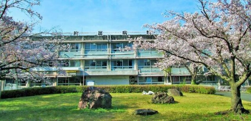 大阪市立弘済院附属病院(病院)まで926m※大阪市立弘済院附属病院 ヴァンベール山田