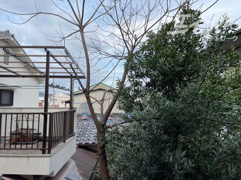  シャルレーヌ・ドゥ・グレイス