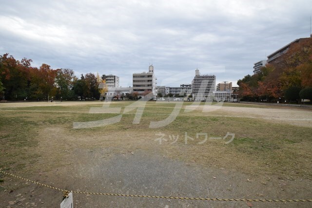 南吹田公園(公園)まで995m※南吹田公園 フェニックス大渕Ⅰ