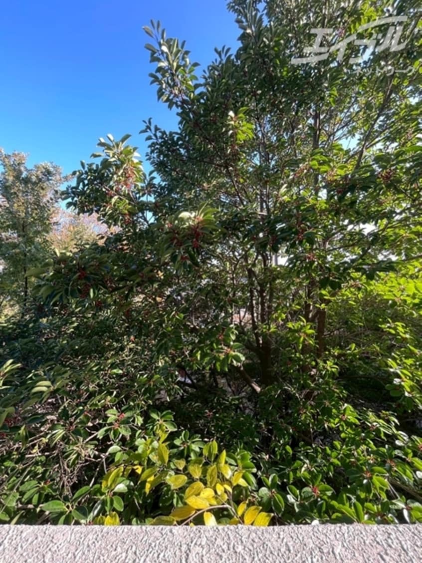  ラ・エスポワール