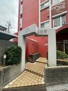 ノバカネイチ住吉の外観