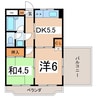 エルピソ甲府 2DKの間取り