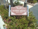  montee amour（モンティーアモー）